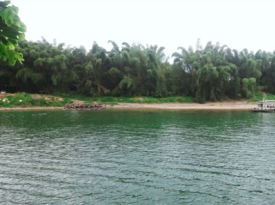 The Scenic Area of Liu Sanjie Water Park